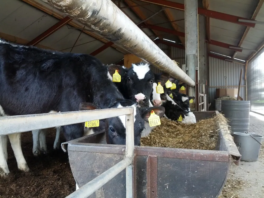 n8vf02jk4p2r5qpk20haog4vb 226790