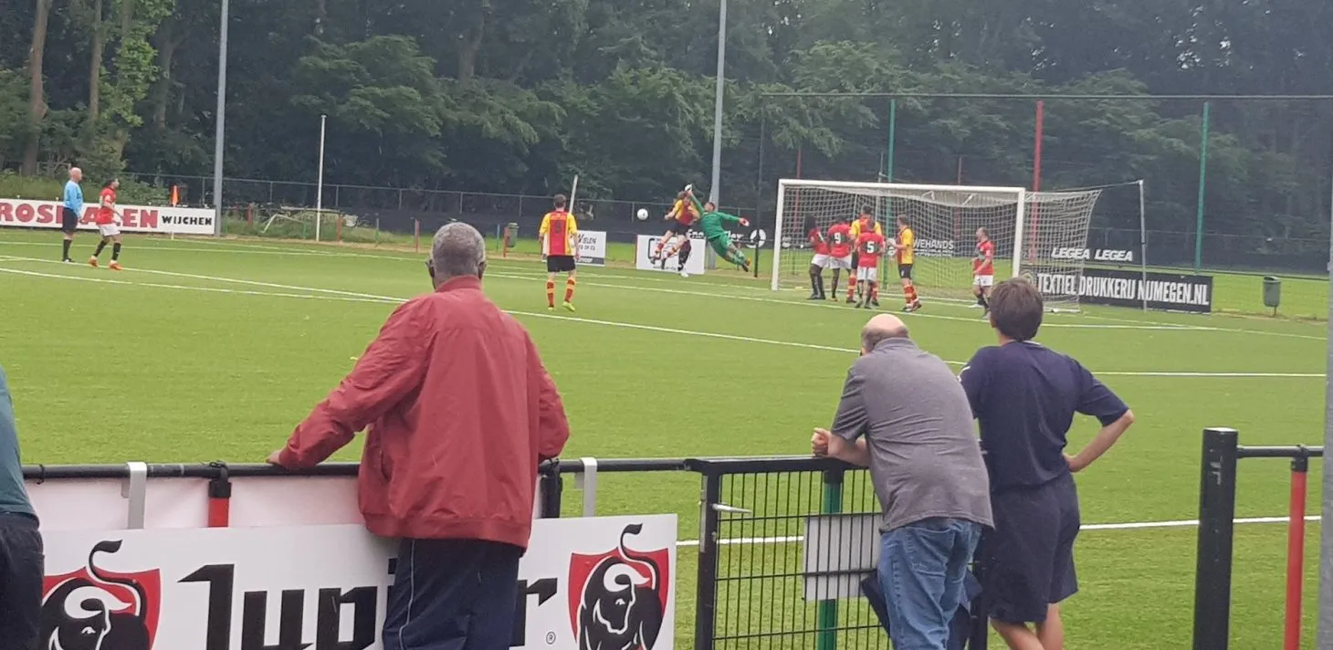 nec stevo e1527589726309