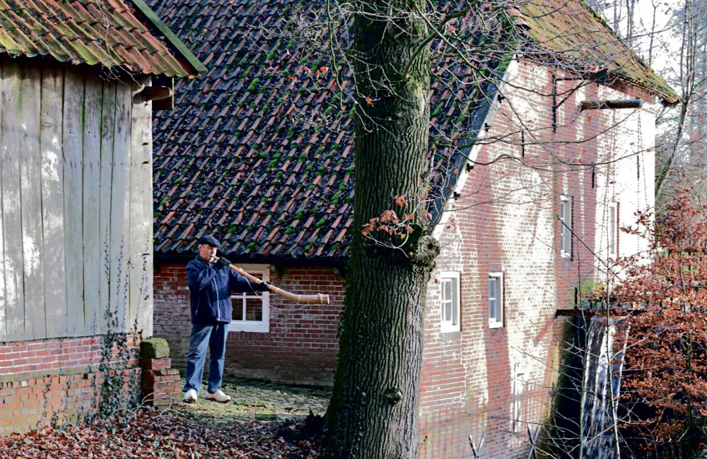 nrmiudtm2iutj1ncs49gydj9r glj3649 w1200