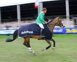 ns9z1qp6ydo6t9s4b5c4r1vd5 78437