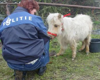 ntiha8vwud8b2yhe6wca2f8xj 131301