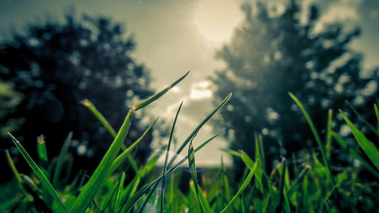 ofltw4ud0n3tgvb3pfdji3s82 gras