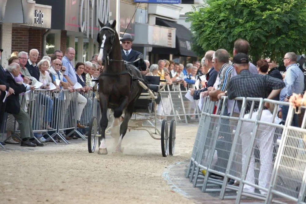 ommsf9u9ic986mijen7q0iokb 165560