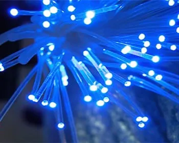 phnab9blfpaim9cwdctxzawfo 181460