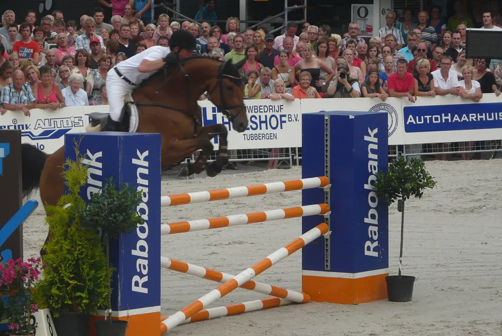 pwlg4e15os6kup5jhbr1hwrlp 166555