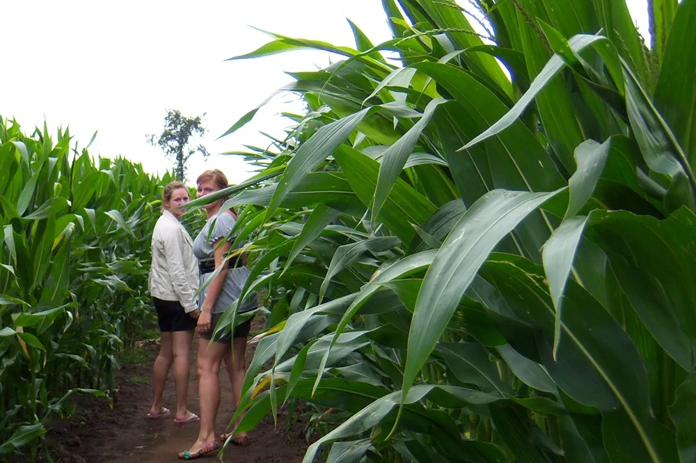 qeln7ijzfe3chyw20j0drwie4 maisdoolhof