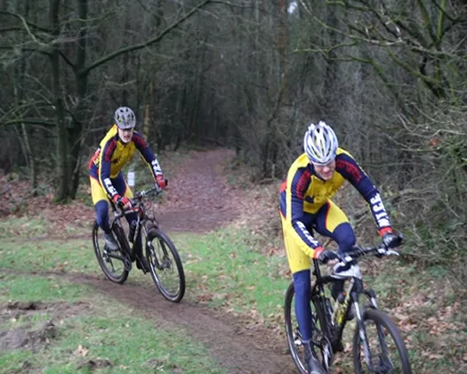 qohgby49sb3t0ene4ja5pmubk 103240