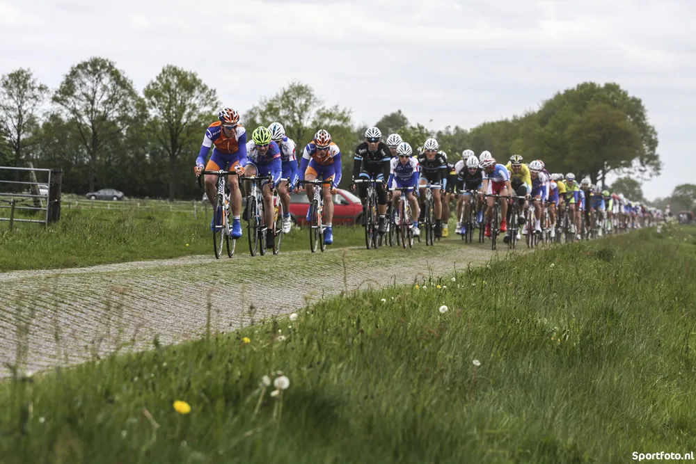 rrhwxjkfi3jl3zignaf069b8b 227425