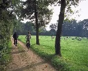 rtu39fxj5bswrwdl1ethgs1ei 97261