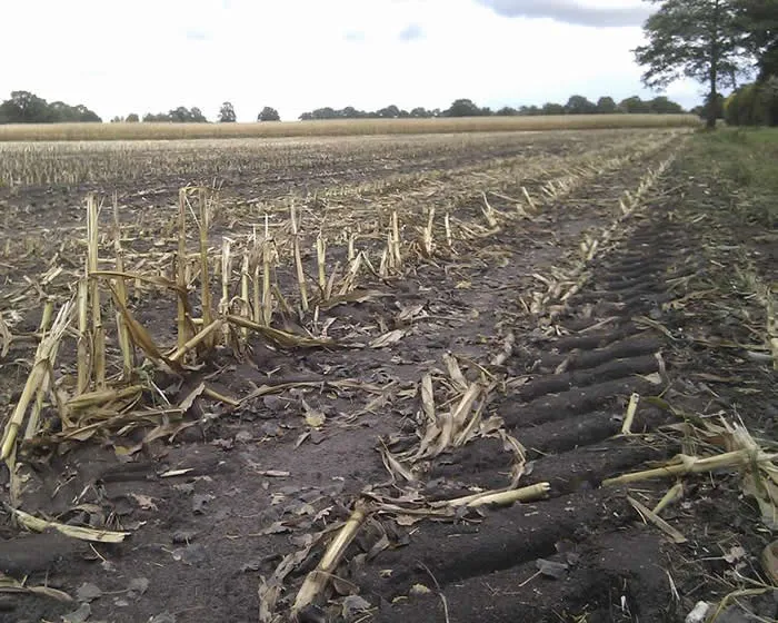 rvmh1pa4iy6k5jst5om44cllp 182559