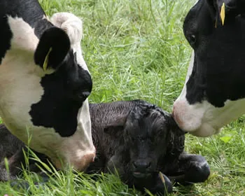 s1sky9i0dze6bh8u8n2aacm06 121302