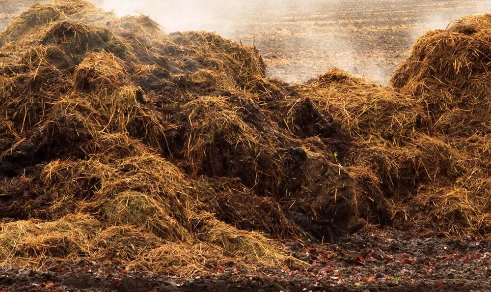 smh1bhwk9rfyl7nabplixb10b mest