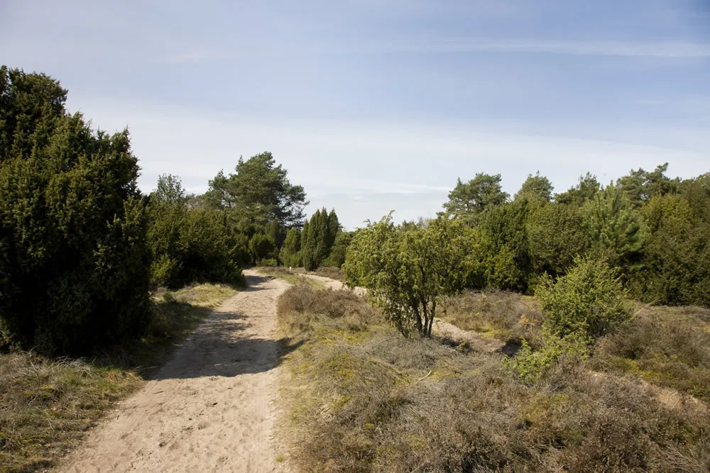 sxboj6t009ofv1klgp48yoae1 lemelerberggrootste natuurterrein van landschap overijssel