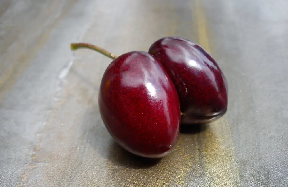 t41a0qrfits9gzvf5o3wxd4y3 dubbele kers