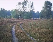 t4jgcyltv6dfqdg78bepdpa3n 97266