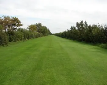 tkt0zjwc8vlfe0vxyem5ak8vp 129874