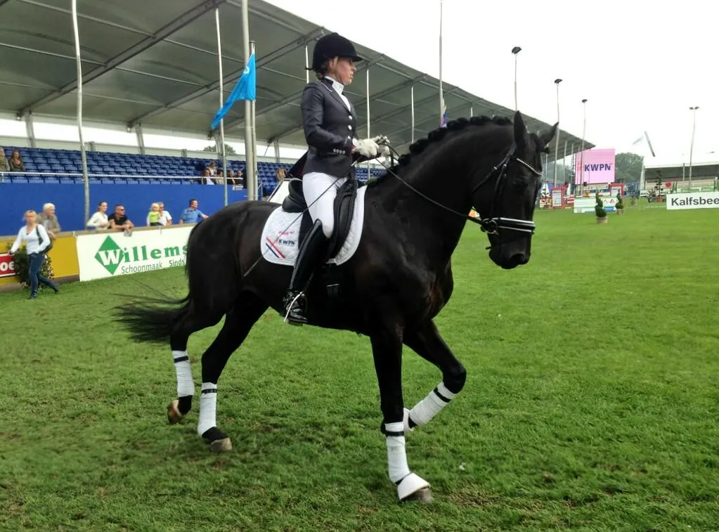 toh897u9kzpc7fiupqqv2dzst csi twente 3