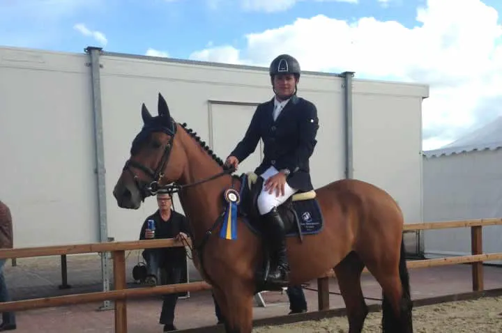 tom brinkman happyness