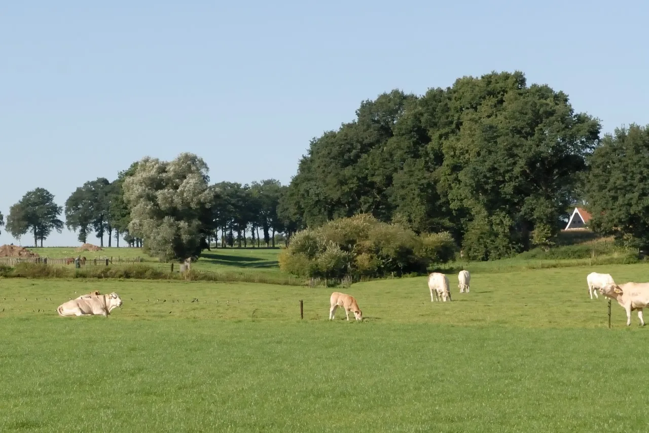 twents landschap
