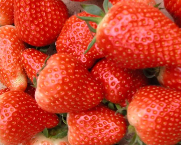 ugx612zv64wt1o3y7o6xtjmat 232778