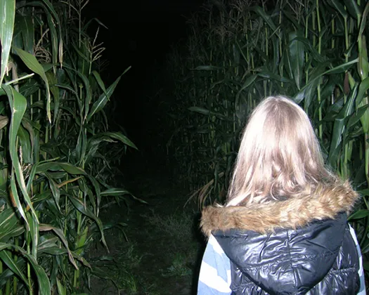 vihunp3howvt7zlm0htx952ro 182851