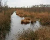 vr2g7bt8ih1v9psjfhrahbu3j 91953