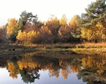 vwbrji56qmnqt8fxi8fqqu0a7 134035