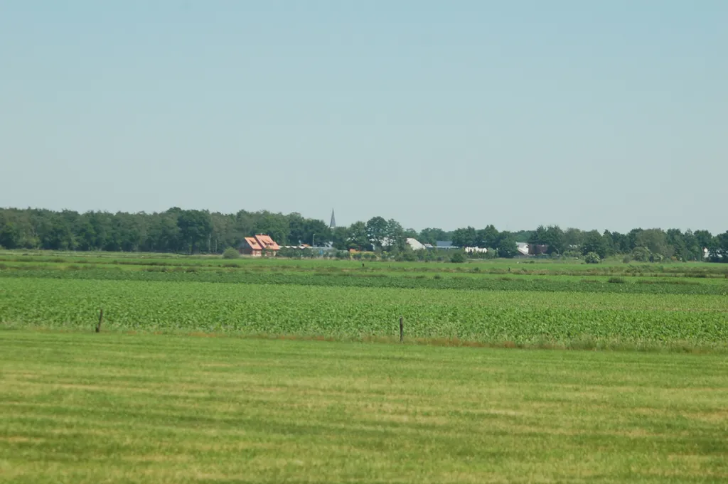 vwvt19bv6br0i4o5e3dmnzf69 103665