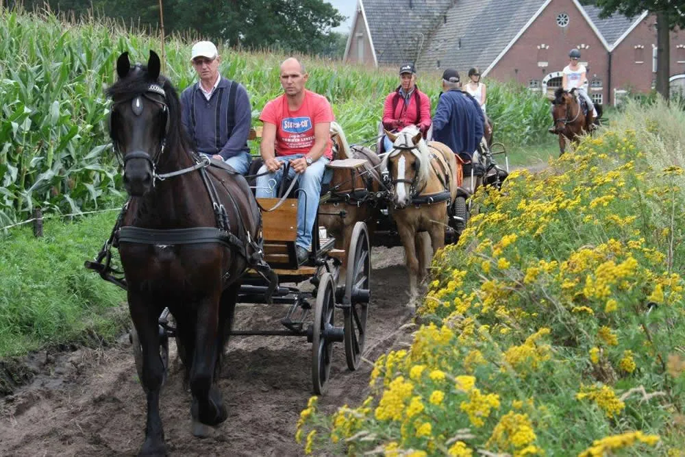 w1s6ij8cgy442j9734xs5fpa8 tpd men en ruiter foto cb 069