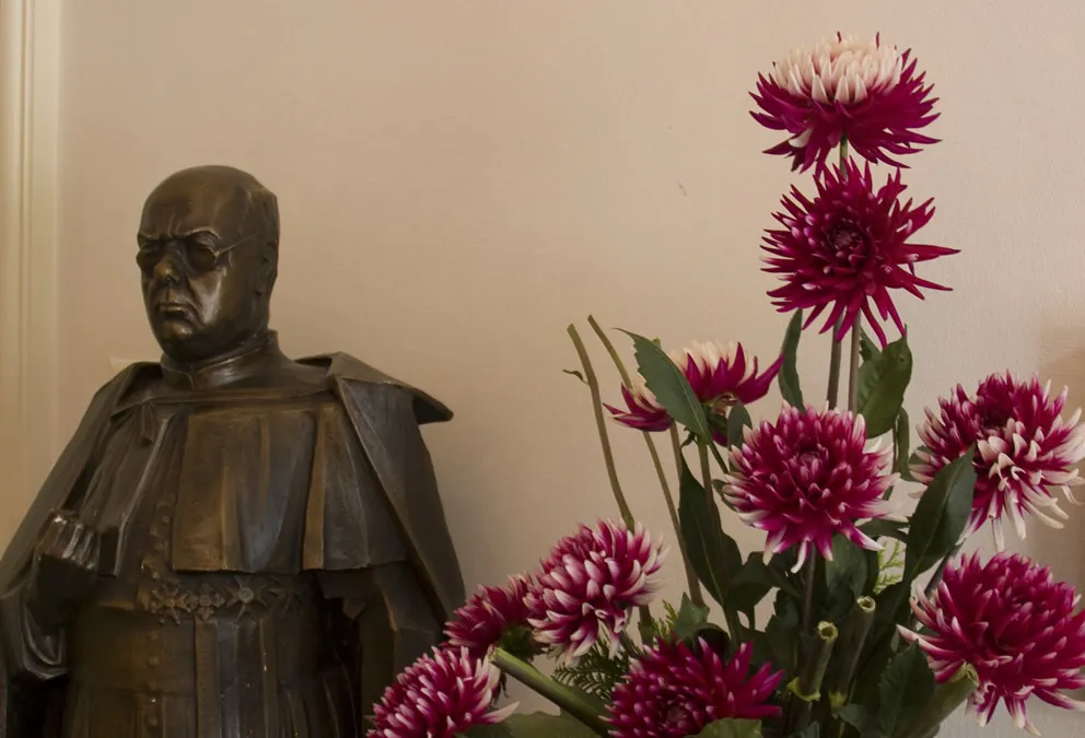 w8tnoqjq4ef5v99spxmya48bu schaepman in de dahlias