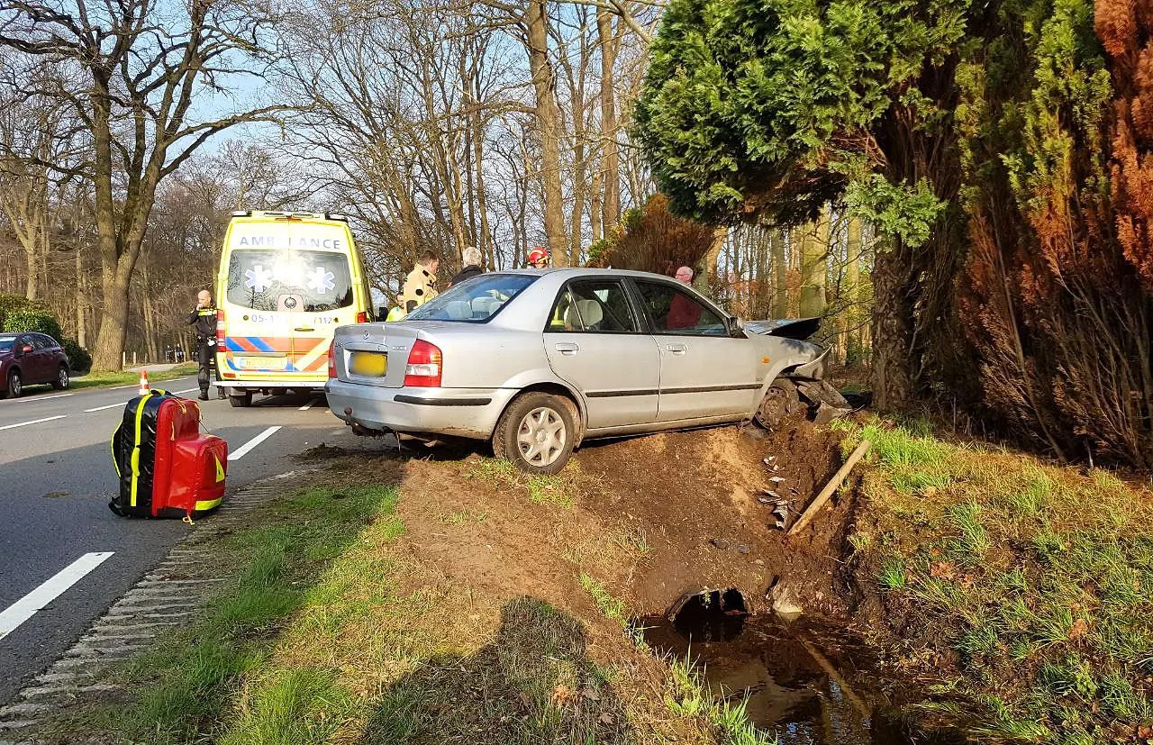 whatsapp image 2019 03 21 at 171258