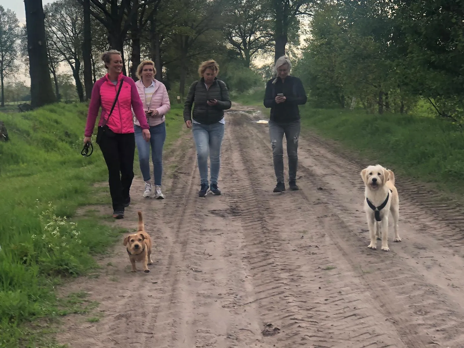 whatsapp image 2021 05 27 at 164135