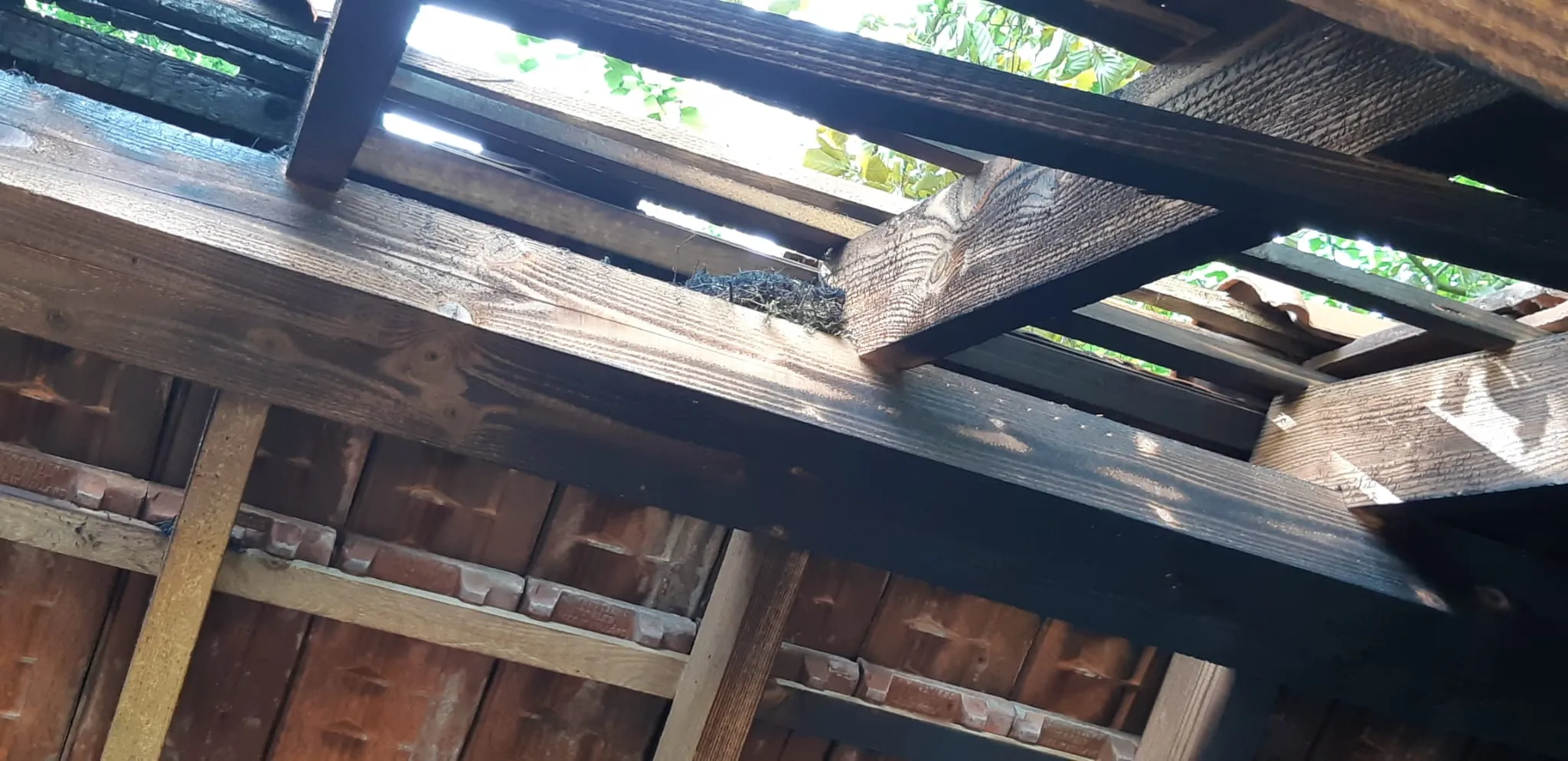 whatsapp image 2022 06 18 at 14207 pm 1