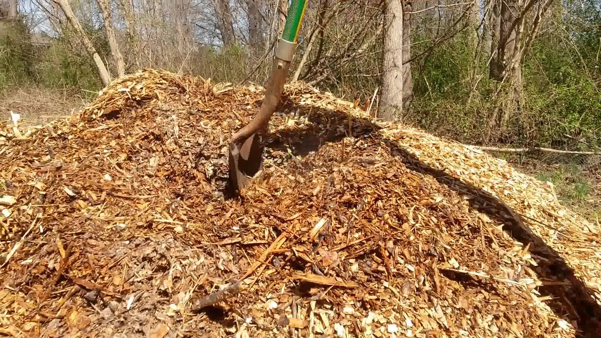 wood chips 4