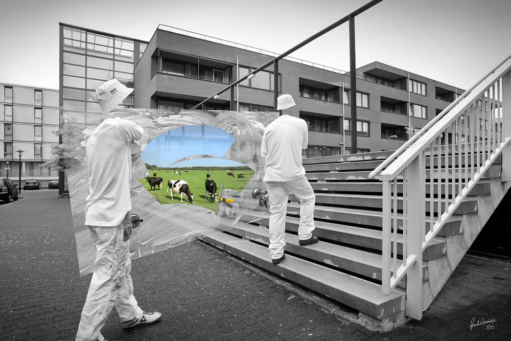 ws8jltqzxu2i3std4lju7a35o 184298