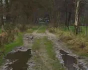 wshfj58gudcrs0u4v8h8pl5zs 108020