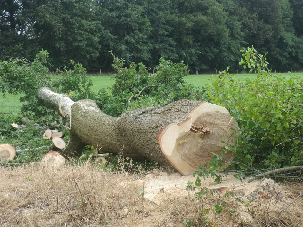 wyg3k3n3nf3mz97z8vn4u724q gekapte eik