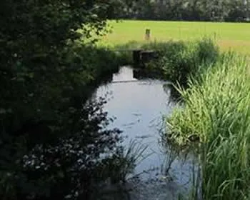 x5l9mmo6n6m21wbko44kyn6pe 132662