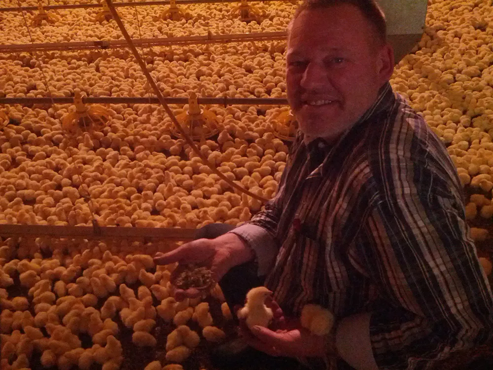 x8tf5cid53zldmkcu9omac9rt 212374