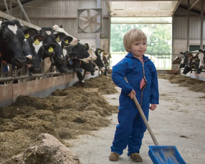 xfis6kp9vydfyvrm601viq55l 151021