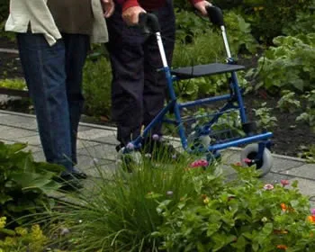 y4l58rnsjj2wnv326f3ahx6ea 88914