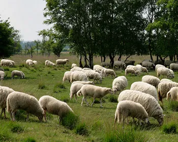 yx7kj6ewp2kpbjko8htwjr29z 172127