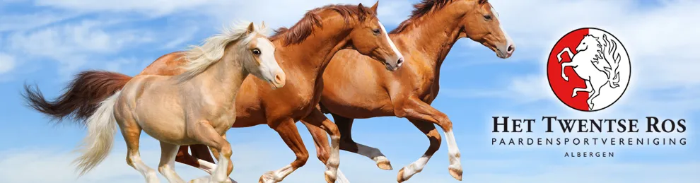 z5tar401udyel57sgnqzepsuu het twentse ros