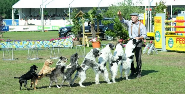 z8pbpywsp11ydxgy0upm7tau3 wolfgang lauenburger