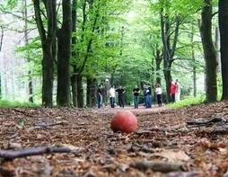 zls5ztg0n71ake4xqg9bdfoui 155425