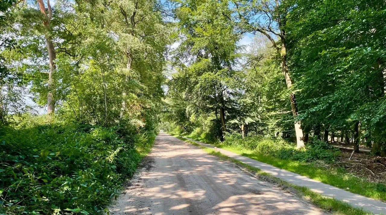 img 2024 08 09 090528