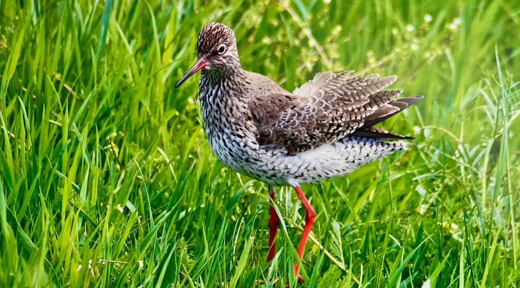 img 2025 03 31 184603