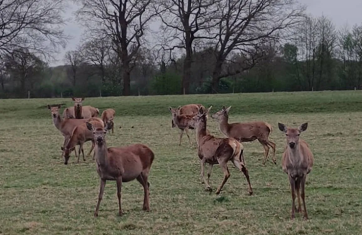 afbeelding van whatsapp op 2025 05 08 om 110328 d022e5e1