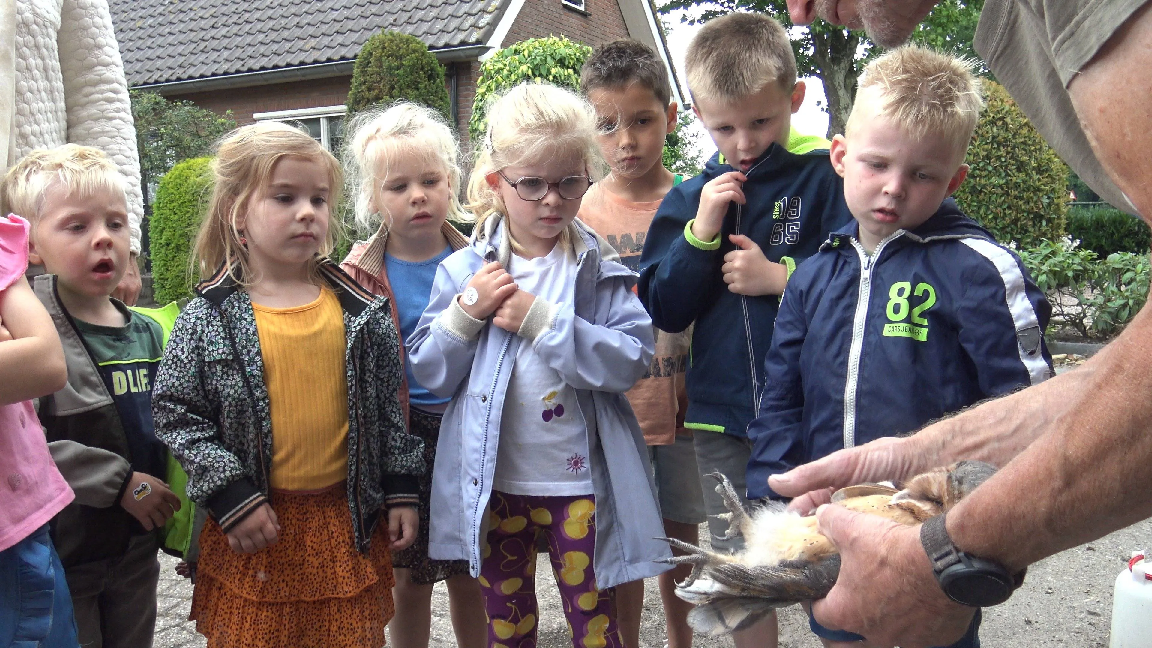 2025 06 27 de boerderij bij ringen kerkuilen03