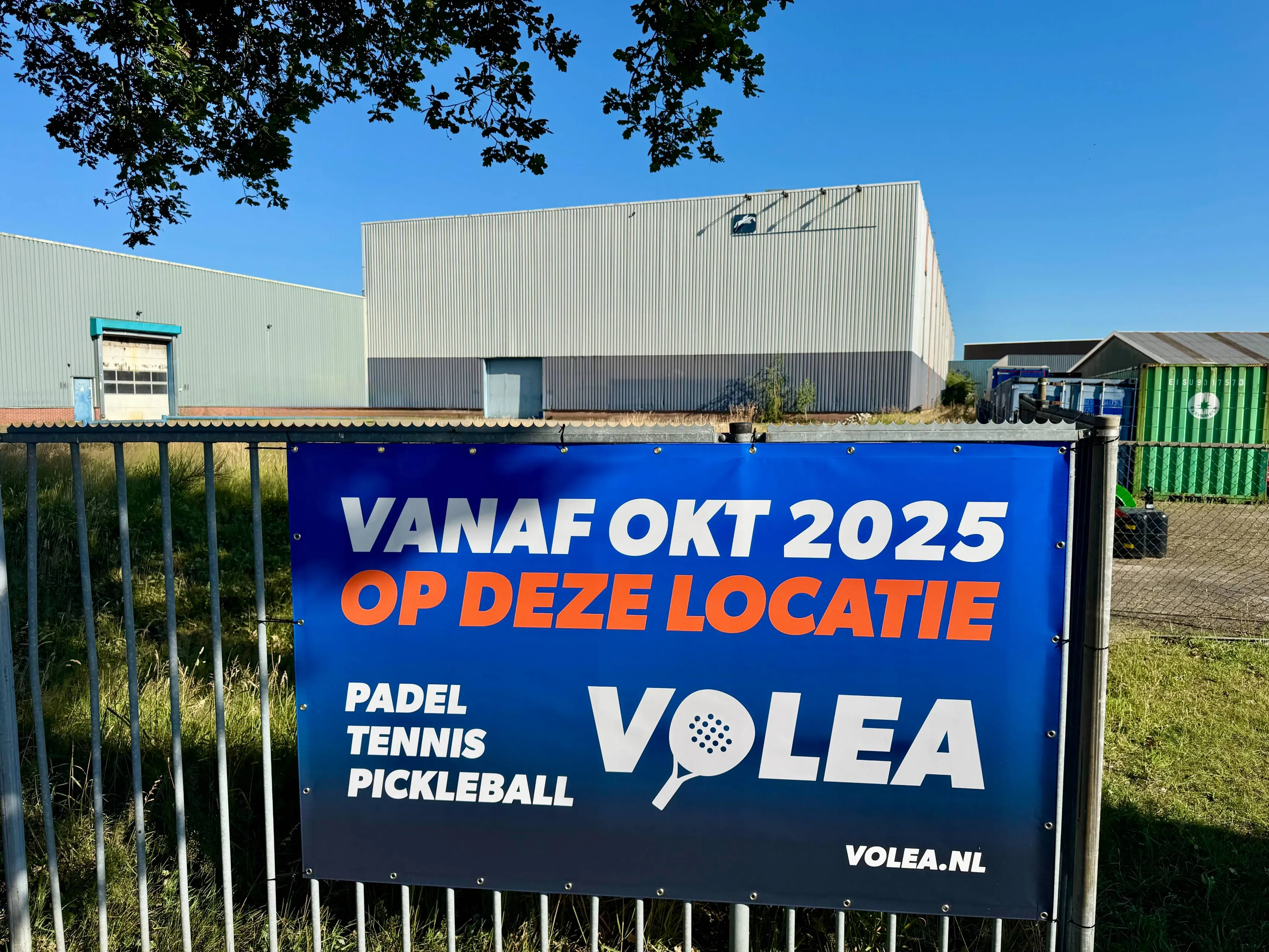 volea brugman